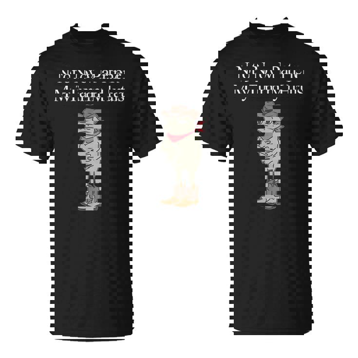 Not Now Partner My Tummy Hurts T-Shirt