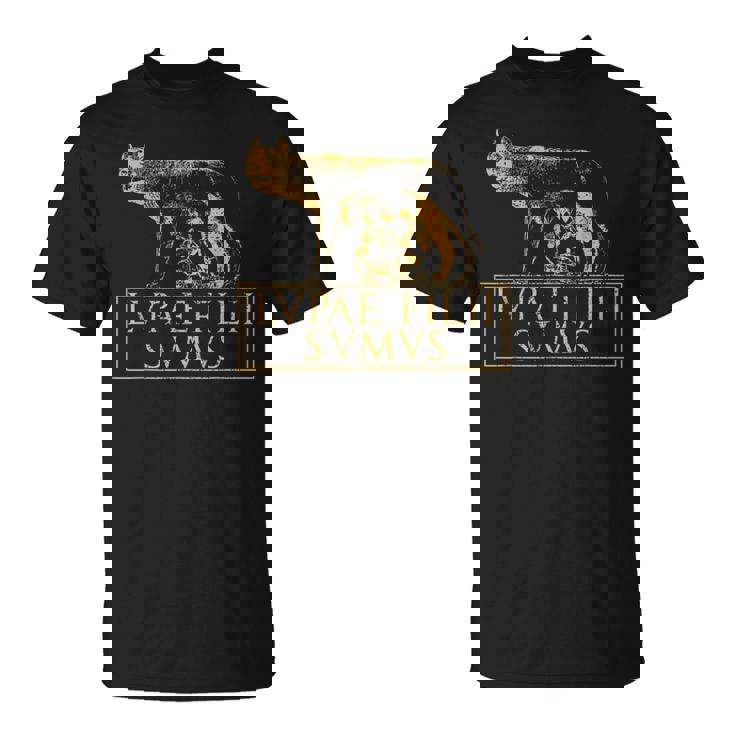 Roma Lupa Cita Del Imperio Romano Antigua De Roma Camiseta unisex