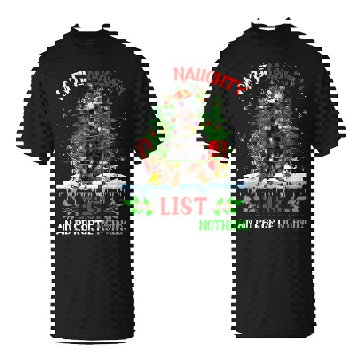 Rottweiler Christmas On The Naughty List And I Regret T-Shirt