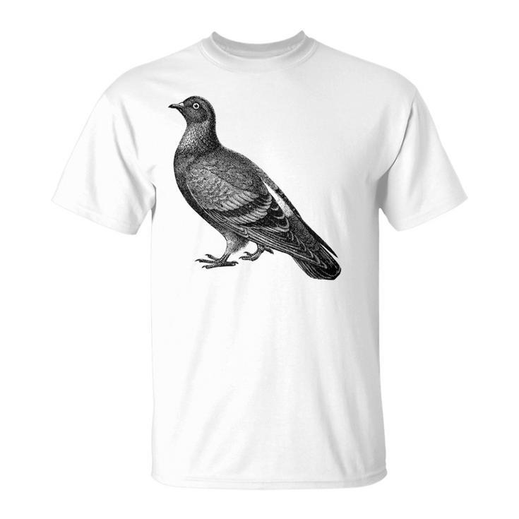 Editionintage English Pigeon Gray T-Shirt