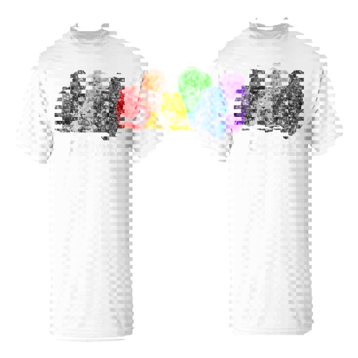 Gay Pride Lions LGBT Rainbow Flag Vintage T-Shirt