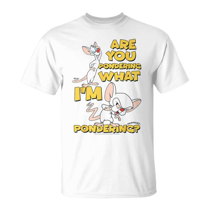 Pinky And The Brain Pondering Gray T-Shirt