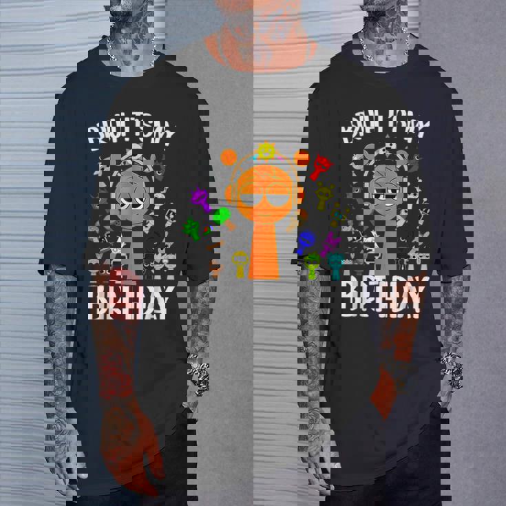 Sprunky Birthday Boy Sprunky It's My Birthday T-Shirt Gifts for Him