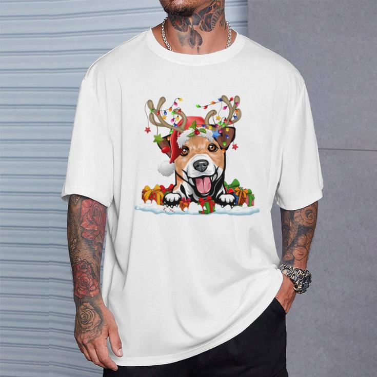 Dog Lover Dog Jumper Jack Russell Daniel T-Shirt Geschenke für Ihn