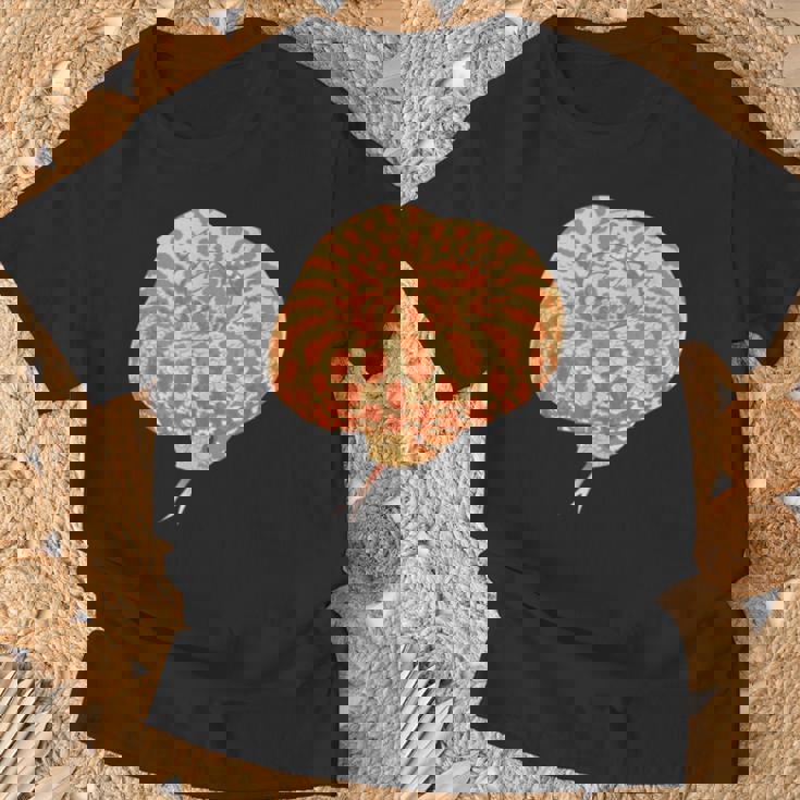 Hognose Gifts, Chinese Zodiac Shirts