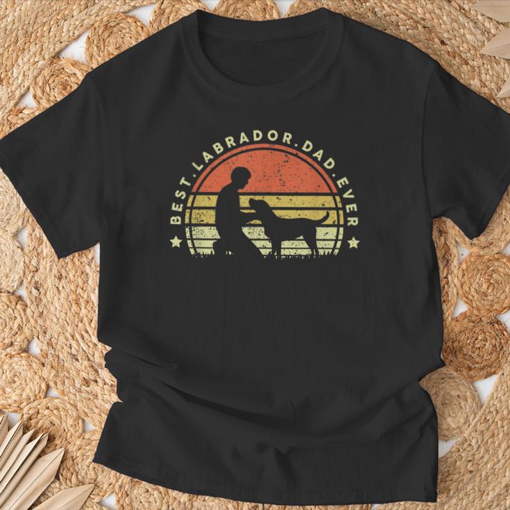 Best Labrador Dad EverDog Dad Love Retro T-Shirt Geschenke für alte Männer