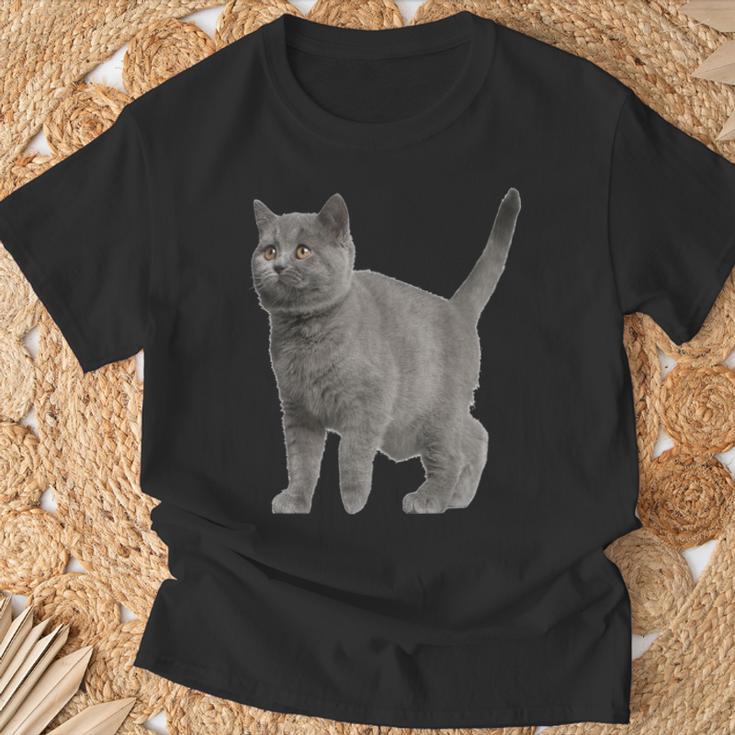 British Short Hair Cat Cat Cat Lovers T-Shirt Geschenke für alte Männer