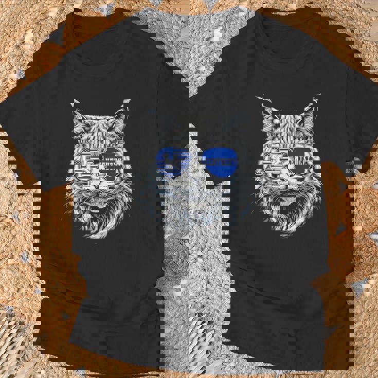 Cat Lovers Graphic Last Name Kentucky Retro Vintage T-Shirt Gifts for Old Men