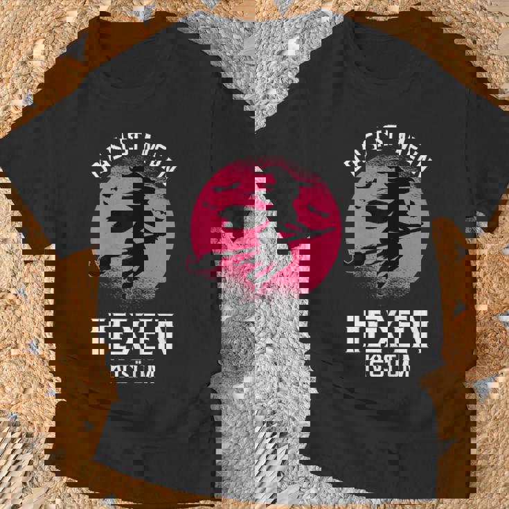 Das Ist Mein Hexen Costume Witch Costume Carnival Fancy Dress T-Shirt Geschenke für alte Männer