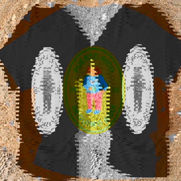 Debi Tirar Album Mas Fotos Frog Vintage Lover T-Shirt Gifts for Old Men