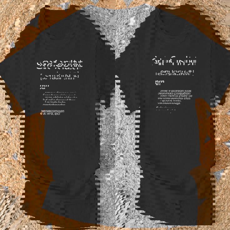 Consulting Senior Consultant Definition Camiseta unisex Regalos para ancianos