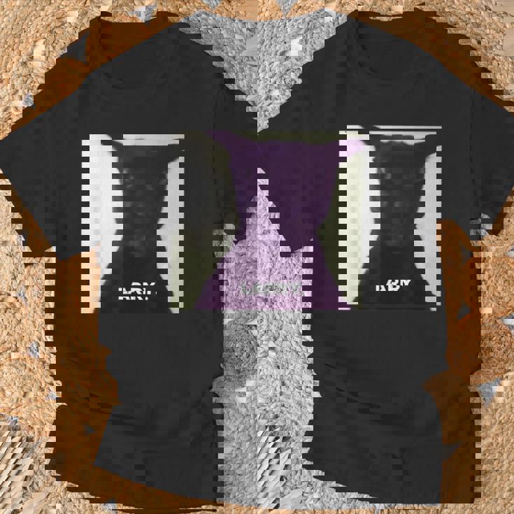 Silly Meme Cat Brainrot Meme Gen Z Meme T-Shirt Gifts for Old Men