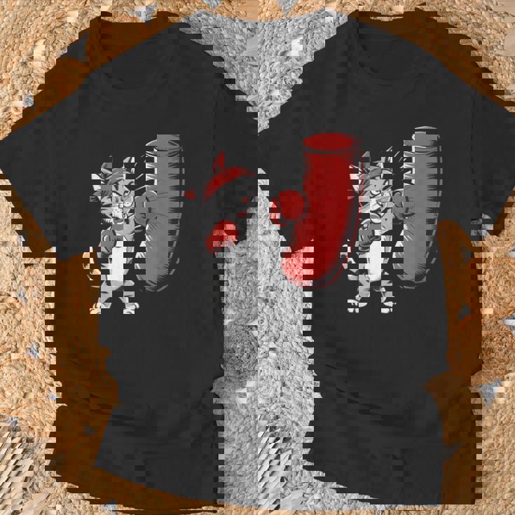 Gimnasio Entrenamiento Gato Divertidos Puñetazos Boxer Cat Camiseta unisex Regalos para ancianos