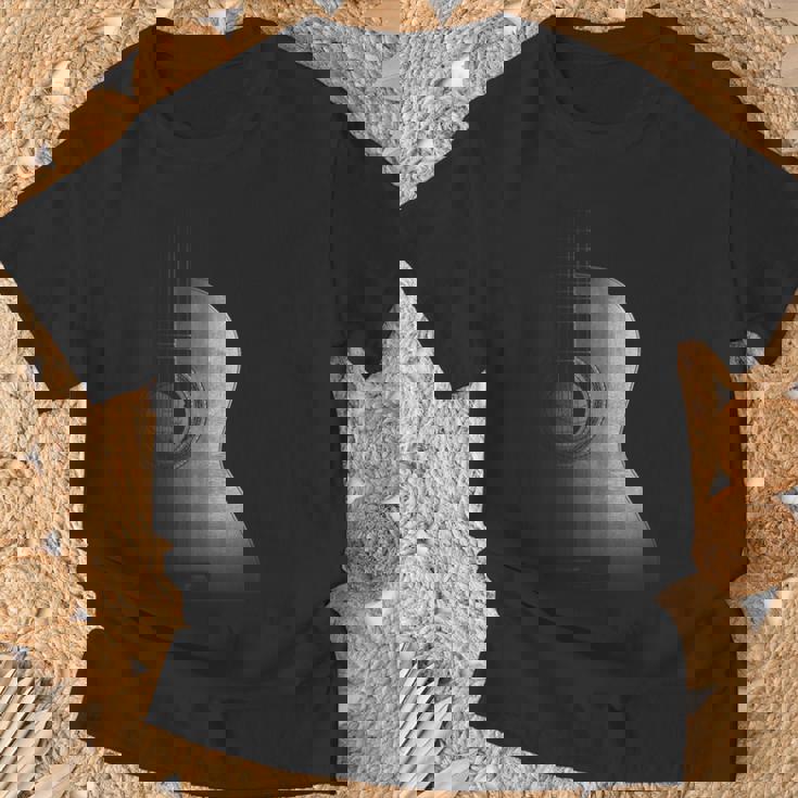Guitarra Acústica Diseño Cool Grayscale Wood Guitarist Graphic Camiseta unisex Regalos para ancianos