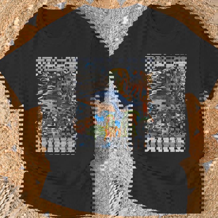 Italian Brainrot T-Shirt Gifts for Old Men