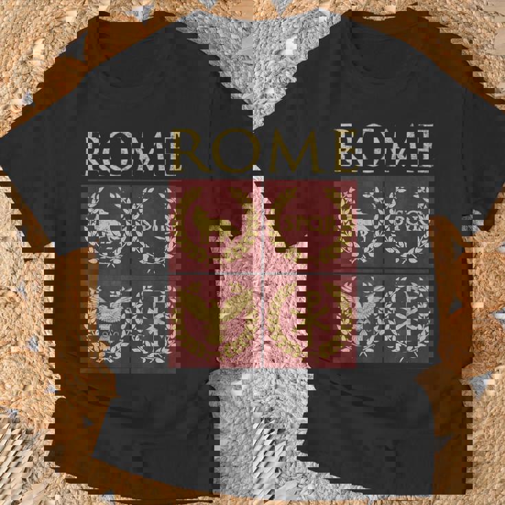 La Historia De Roma La Antigua Roma Camiseta unisex Regalos para ancianos