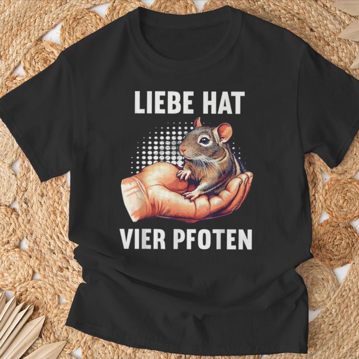 With Love Has Four Paws Degu Degus Owner Deguhalter T-Shirt Geschenke für alte Männer