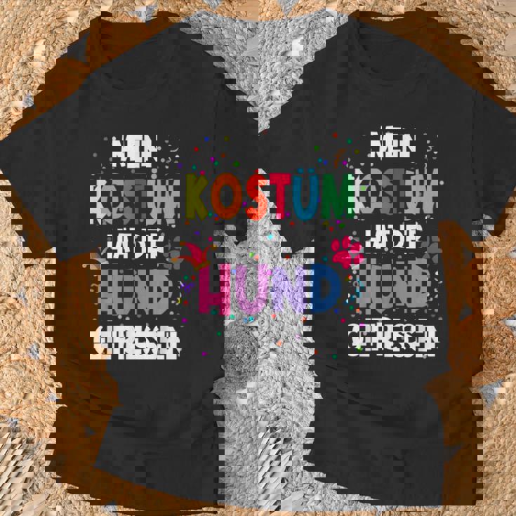 Mein Kostüm Hat Der Hund Gefressen For Carnival T-Shirt Geschenke für alte Männer