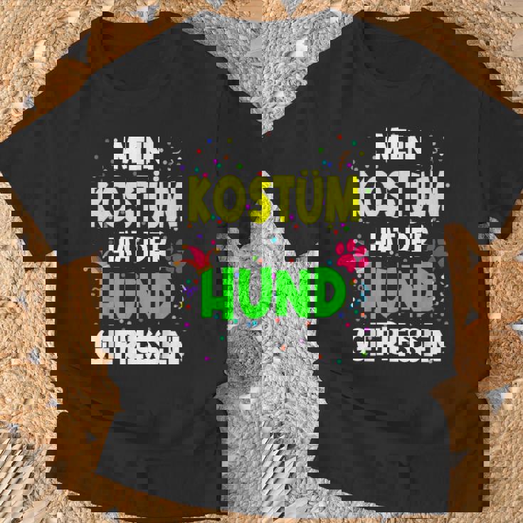 Mein Kostüm Hat Der Hund Gefressen For Carnival S T-Shirt Geschenke für alte Männer