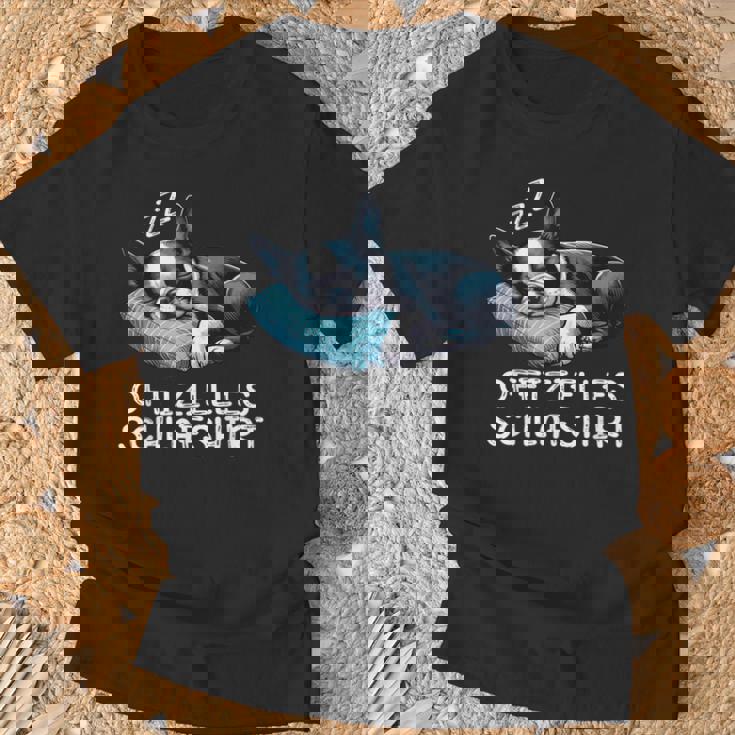 Offizielles Schlaf Boston Terrier Hund Hunde Liebhaber T-Shirt Geschenke für alte Männer