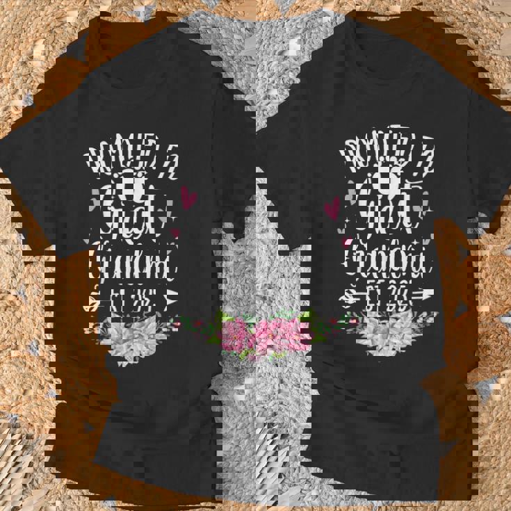 Promoted To Great Grandma Est 2025 First Time New Grandma T-Shirt Gifts for Old Men