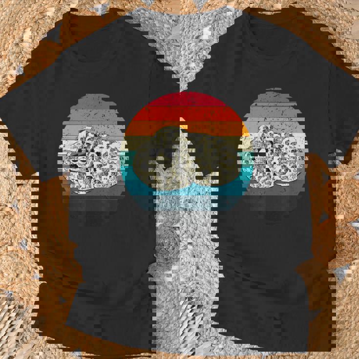 Hognose Gifts, Retro Sunglasses Shirts