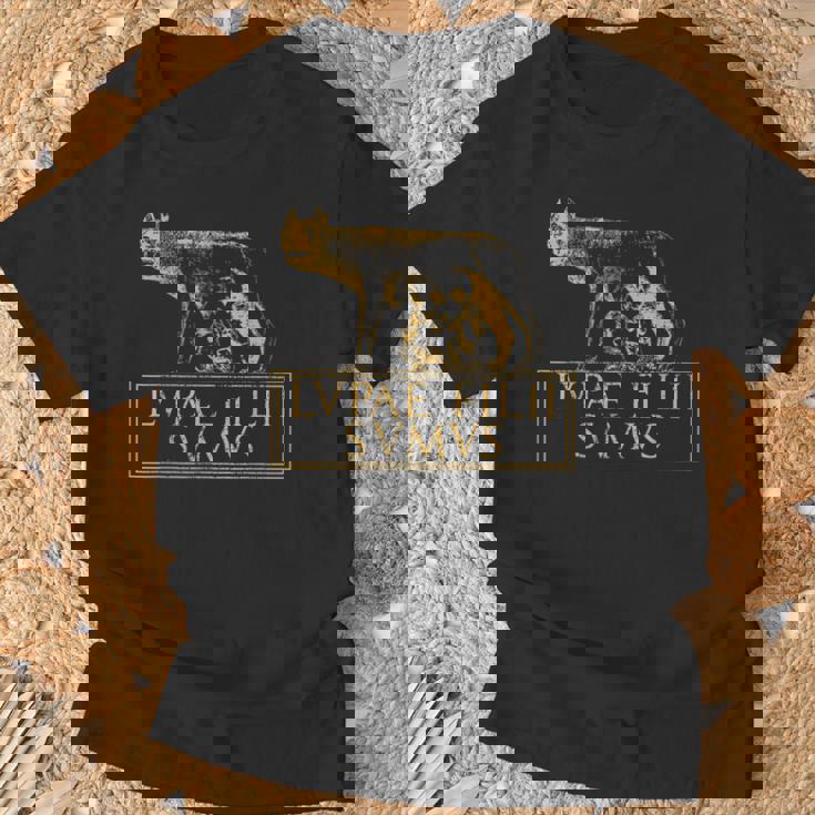 Roma Lupa Cita Del Imperio Romano Antigua De Roma Camiseta unisex Regalos para ancianos
