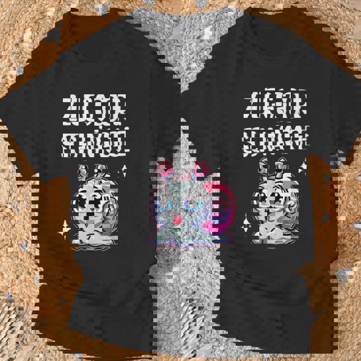 Sächsisch Mundart Diealekt T-Shirt Geschenke für alte Männer