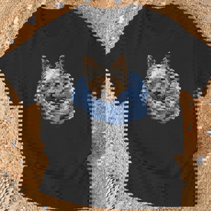 Süßer Hund Offizielles Schlaf Yorkshire Terrier Hunde T-Shirt Geschenke für alte Männer
