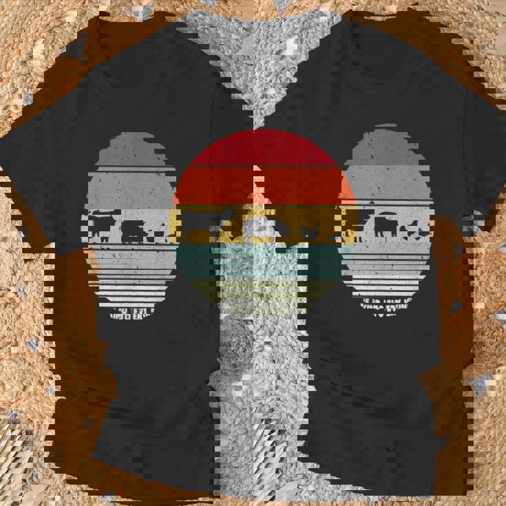 Vegan Intage Be Kind To Every Kind T-Shirt Geschenke für alte Männer