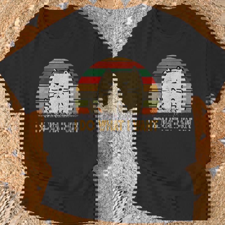 Vintage I Do What I Want Cat Lovers Camiseta unisex Regalos para ancianos