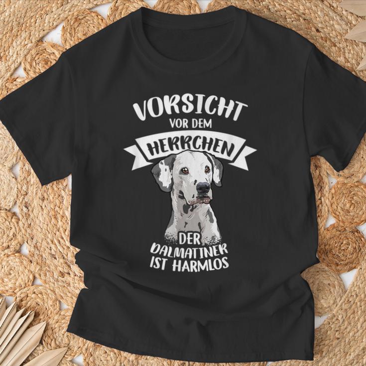 Vorsichtor Dem Herrchen Der Dalmatian Ist Harmlos Gassi T-Shirt Geschenke für alte Männer