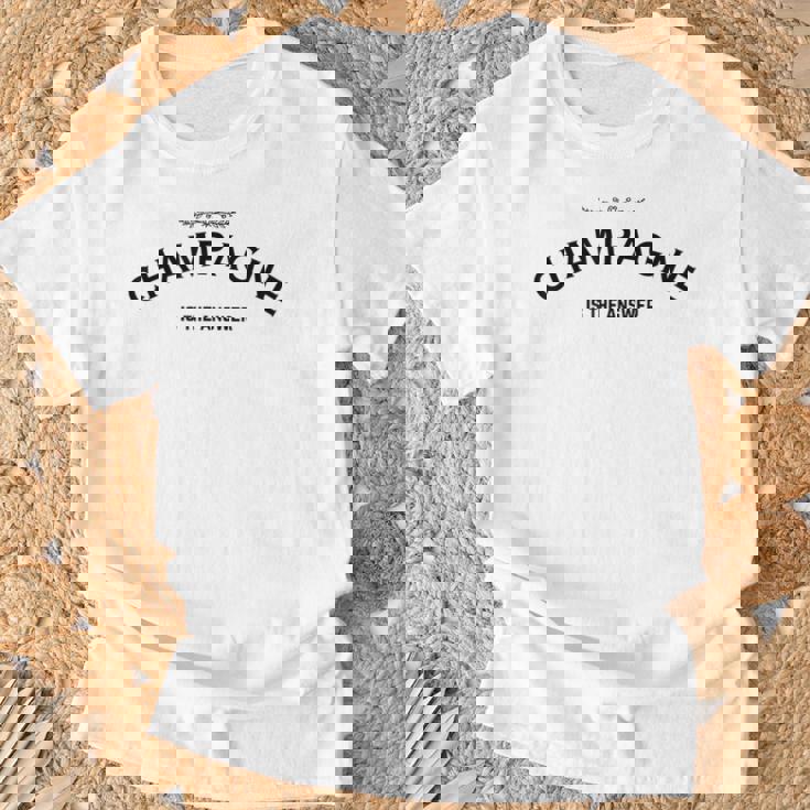 Champagne Is The Answer French Party Fashion Statement Quote T-Shirt Gifts for Old Men