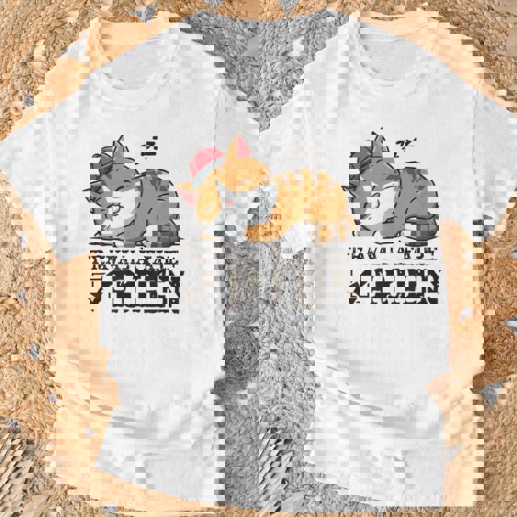 Chat Humour Travail À Faire Rien Idée Sommeil Flemme T-Shirt Cadeaux pour les vieillards