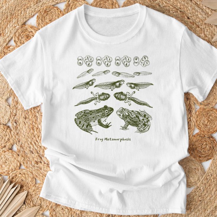 Frog Tadpole Life Cycle Metamorphosis Biology Science T-Shirt Geschenke für alte Männer