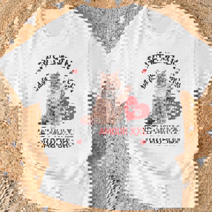 Maine Coon Cadeau Propriétaire Maine Coon Humour Chat Mignon T-Shirt Cadeaux pour les vieillards