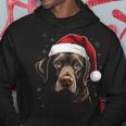 Labrador Dog Christmas Walking Dog Fan Kapuzenpullover Lustige Geschenke