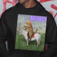 Meowdy Meme Cat And Pony Kapuzenpullover Lustige Geschenke