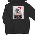 Christmas Raccoon Youth Hoodie - Dear Santa I Can Explain