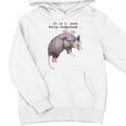 Fairy Godpossum Raccoon Trash Panda Unisex Youth Hoodie | Fun Design