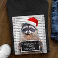 Christmas Raccoon Youth Hoodie - Dear Santa I Can Explain