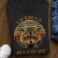 Raccoon Trash Panda Youth Hoodie - Cartoon Style for Kids