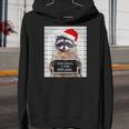Christmas Raccoon Youth Hoodie - Dear Santa I Can Explain