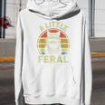 Raccoon Retro Hoodie - Grey Cartoon Graphic - For Enthusiasts & Families