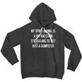 Sarcastic Raccoon Spirit Animal Unisex Youth Hoodie - Fun & Playful