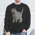 British Short Hair Cat Cat Cat Lovers Sweatshirt Geschenke für alte Männer