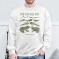 Frog Tadpole Life Cycle Metamorphosis Biology Science Sweatshirt Geschenke für alte Männer