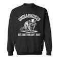 Cowboy Raccoon Sweatshirt - Funny Unisex Casual - Undiagnosed Humor