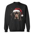 Labrador Dog Christmas Walking Dog Fan Sweatshirt