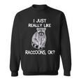 Raccoon Lover Sweatshirt – Cozy Wildlife-Inspired Apparel